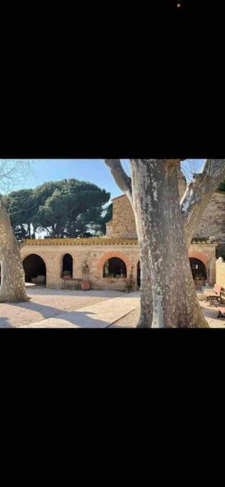 Torreilles-Casa Terracota-Proche Plage - Les Deferlantes Le Barcares - South Of France Bagian luar foto